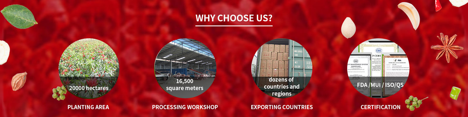 মরিচ মরিচ গুঁড়ো