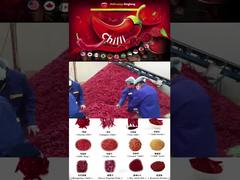 স্পাইস ফ্যাকোরি ০৩