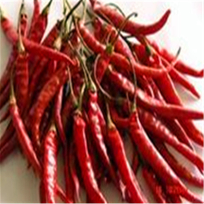 Erjingtiao Pepper Ingredients চিলি পেপার গরম 8000-12000shu গ্রাহকের চাহিদা অনুযায়ী