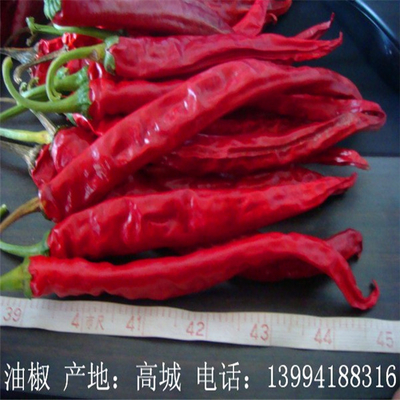 খাঁটি চিলি পেপার Erjingtiao 8-12% আর্দ্রতা এবং বায়ু শুকনো প্রক্রিয়া সঙ্গে শুকনো চিলি