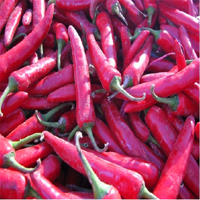 Erjingtiao Pepper Ingredients চিলি পেপার গরম 8000-12000shu গ্রাহকের চাহিদা অনুযায়ী