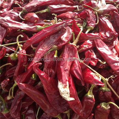 স্বাদযুক্ত ইডু চিলি ৭-১৫ সেন্টিমিটার লম্বা