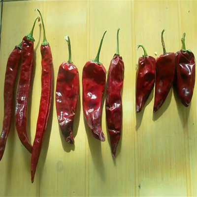 500 SHU Heat Yidu Chili গরম এবং মশলাদার উপাদান পাইকারি