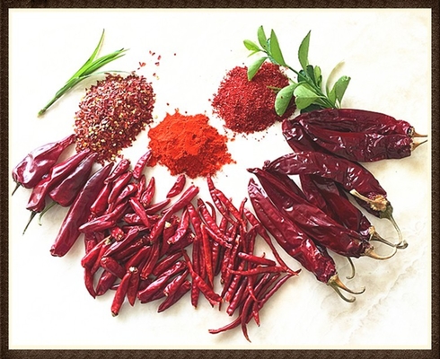 আর্দ্রতা ৮-১২% শুকনো গুয়াজিলো চিলি লাল পুরো / স্টিক