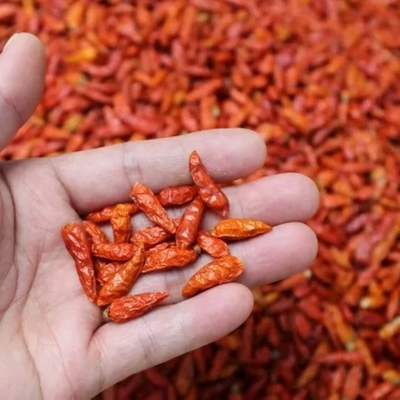 হট এয়ার শুকনো লাল বুলেট মরিচ