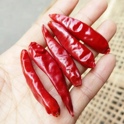 আপনার ব্যবসায়ের মানের জন্য টুপি সহ নন অ্যাডিটিভস রেড বুলেট চিলি