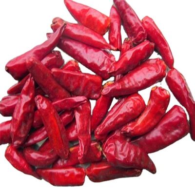 Red Chinese Dried Chili Peppers Small Size Allergen Information NO Ideal for Food Processing and Culinary Applications