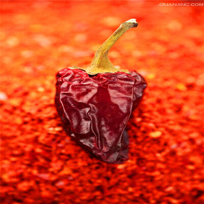 Glutenfree Chilli Paprika Pepper Powder Impurity 0.3 Percent Max Form Of Paprika Chilli Paprika Powder Suitable for Culinary and Food Production