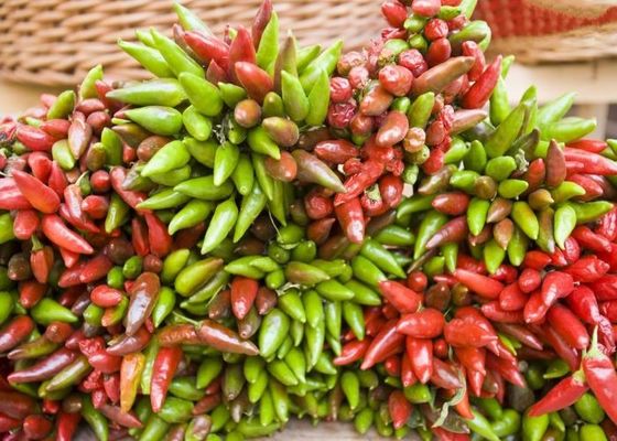 নতুন ফসল স্ট্যামলেস জাপানি শুকনো পাখি চোখ চিলি Paprika একটি গ্রেড