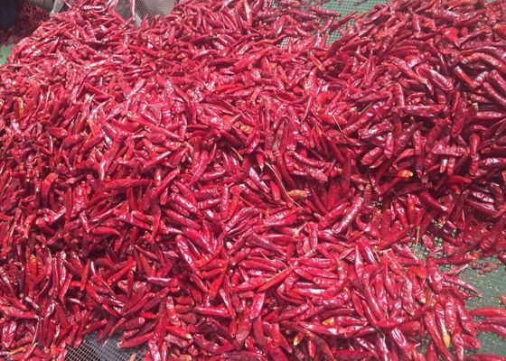 তিয়ানজিন গোলাকার লাল মরিচ (100 গ্রাম)