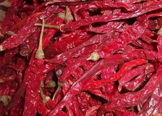 খাঁটি চিলি পেপার Erjingtiao 8-12% আর্দ্রতা এবং বায়ু শুকনো প্রক্রিয়া সঙ্গে শুকনো চিলি