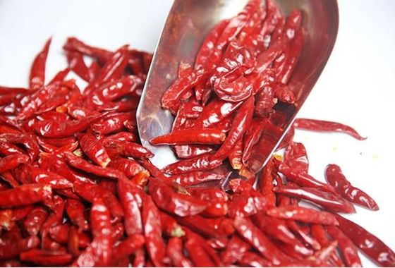 তিয়ানজিন রেড পিপার্স স্পাইসি এবং স্বাদযুক্ত