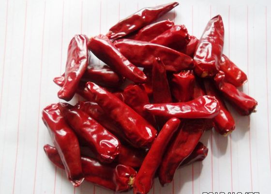 ভিটামিন সি রেড জিনতা মরিচ