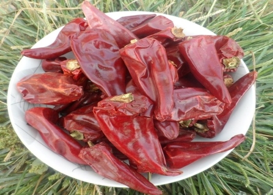 প্যাসিভ চিলি স্বাদযুক্ত ইডু চিলি